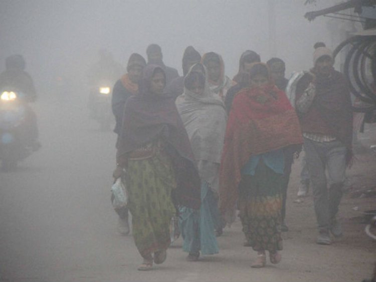 सर्दी का सितम अभी रहेगा जारी, जानिए कब कोल्ड डे और कब है बारिश का येलो अलर्ट